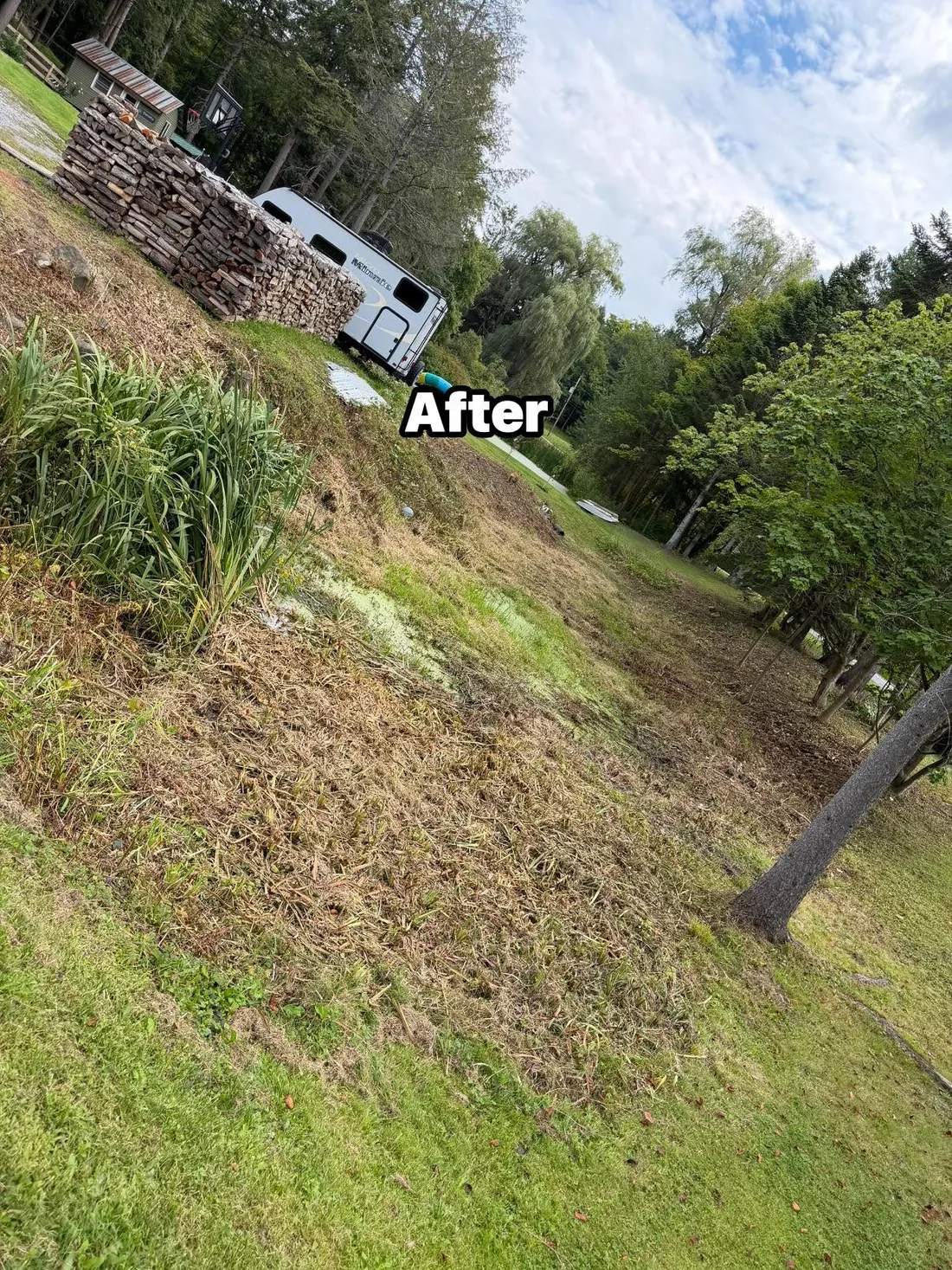 The same bank after the overgrowth was cut back, cleared down to open ground and mown grass