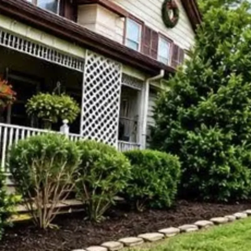 Trimmed foundation shrubs and a mulched bed along the front porch of a home