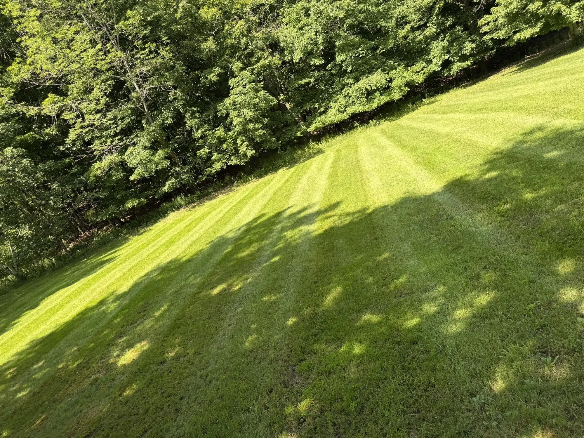 A steep hillside lawn mowed by EK Services with sweeping stripes running down the slope to a treeline